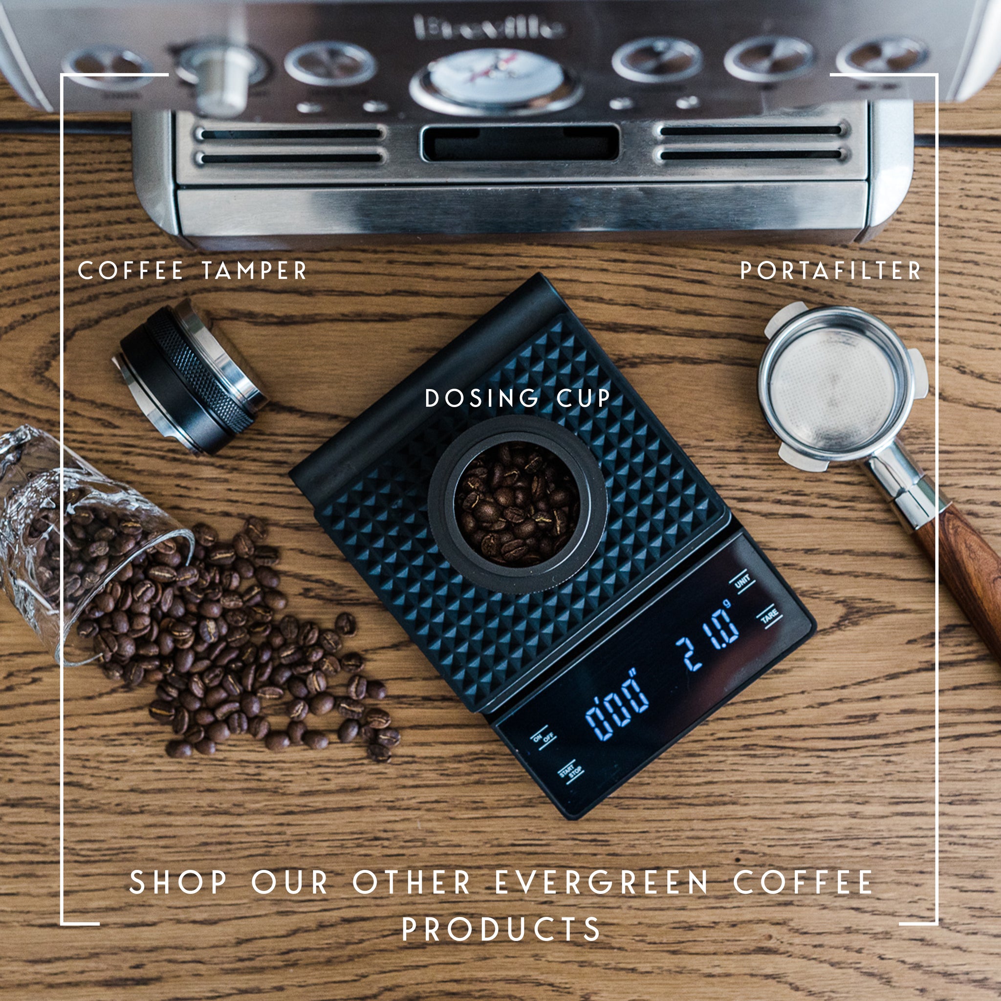 Evergreen Coffee - Espresso Puck Screen | Contact Shower Screen | Professional 304 Stainless Steel | 1.7mm Thickness | Compatible With Breville Oracle, Dual Boiler, And All Commercial Machines
